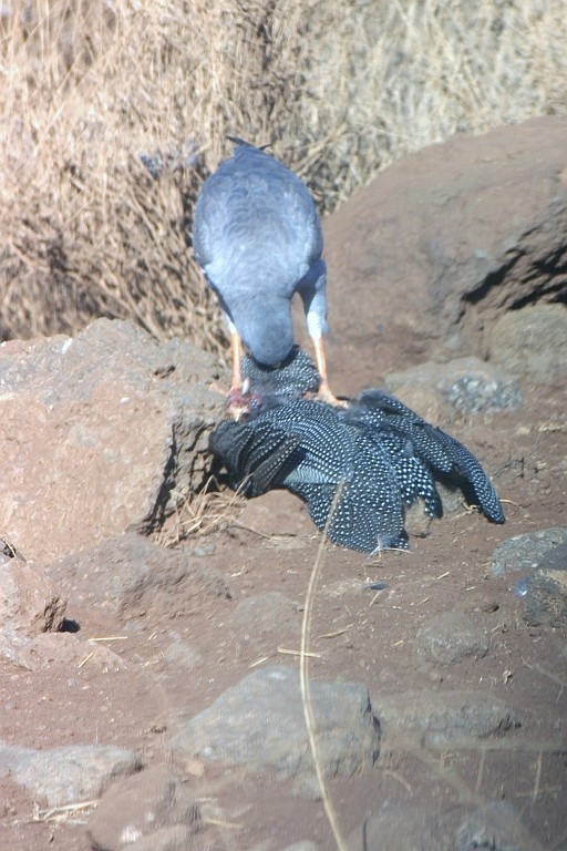 Kenia (119).jpg